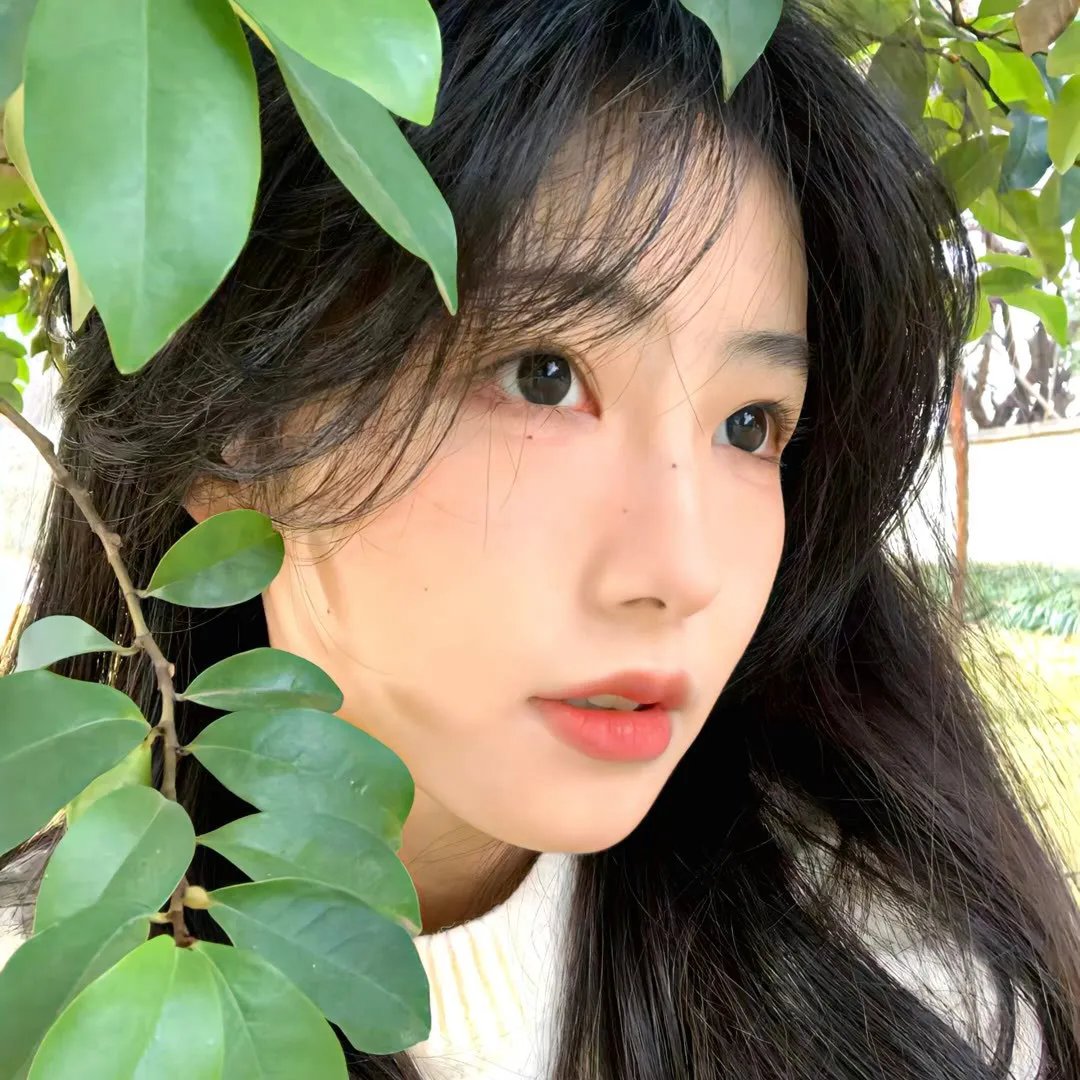 花儿与歌声